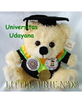 Boneka Wisuda Universitas Udayana - Teknologi Pertanian (25 cm)